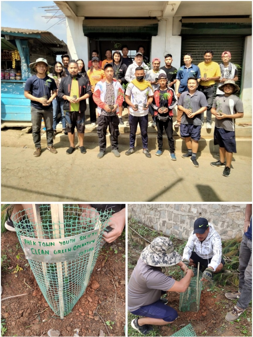 Tree plantation drive at Phek Town