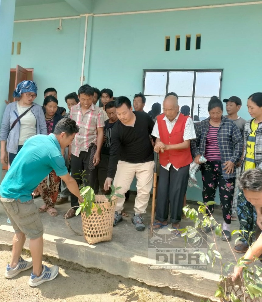 PLANTATION DRIVE AT KT AND ASÜKIQA BLOCK