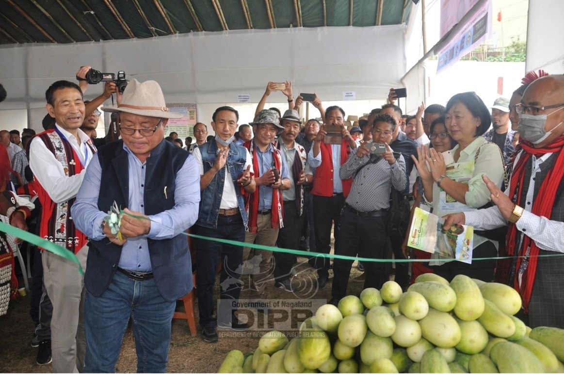 CUCUMBER FESTIVAL INAUGURATED AT ALIBA VILLAGE