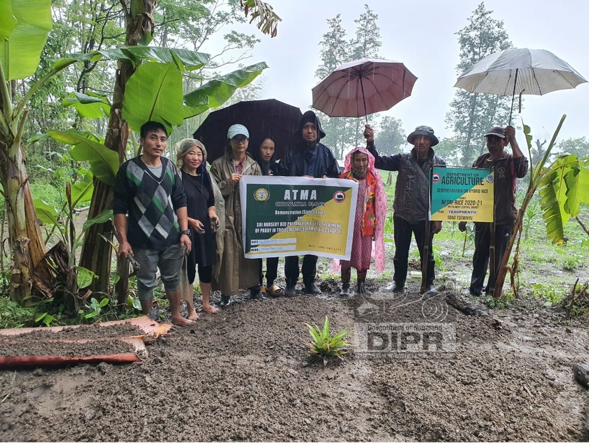  DEMONSTRATION ON SRI NURSERY BED PREPARATION AND PADDY SEED TREATMENT USING TRICHODERMA UNDER CHUNLIKHA BLOCK