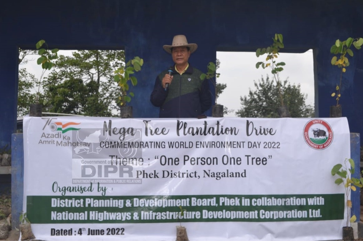 Tree plantation drive at Pfutsero: