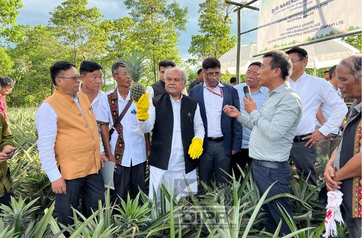 UNION AGRI MINISTER VISITS MOLVOM PINEAPPLE FARM