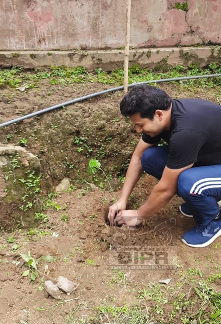   Government Institutions conduct plantation drive: