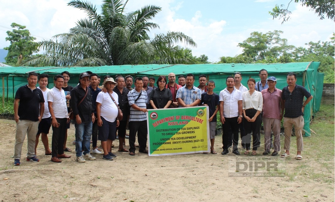 AGRI- DEPT DISTRIBUTE TEA SAPLINGS AT NIULAND