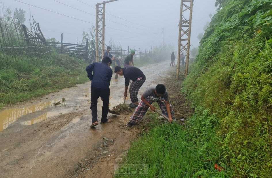 Mass social work at Shamator