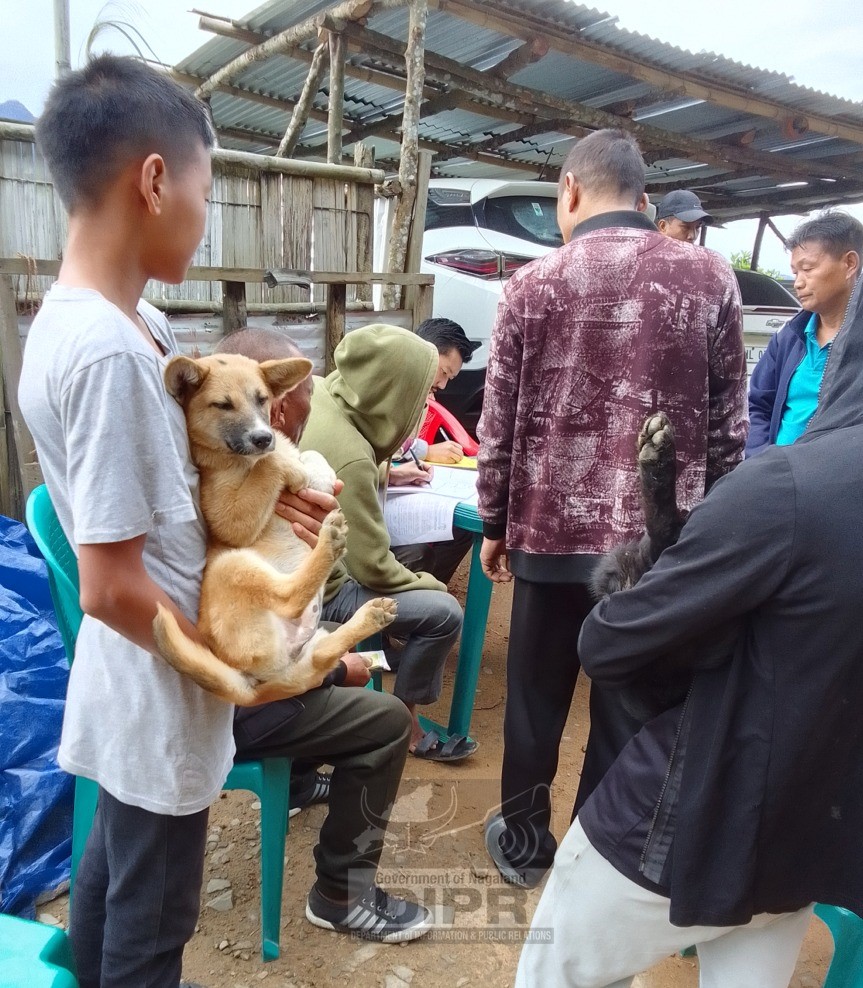 VACCINATION OF DOGS AT LONGLENG