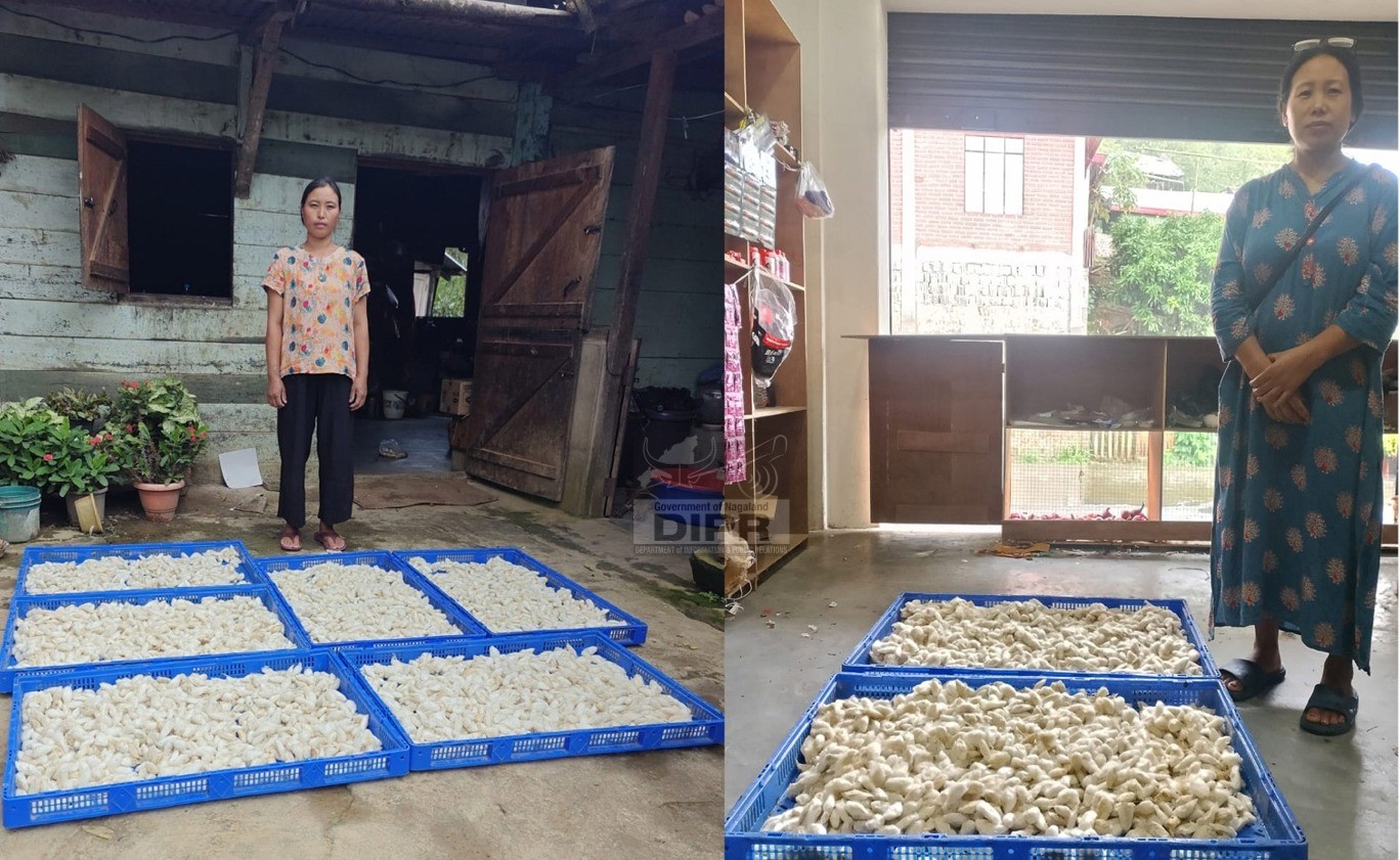 ERI SILKWORM FARMING BRINGS NEW LIVELIHOOD TO TWO WOMEN IN TUOPHEMA VILLAGE