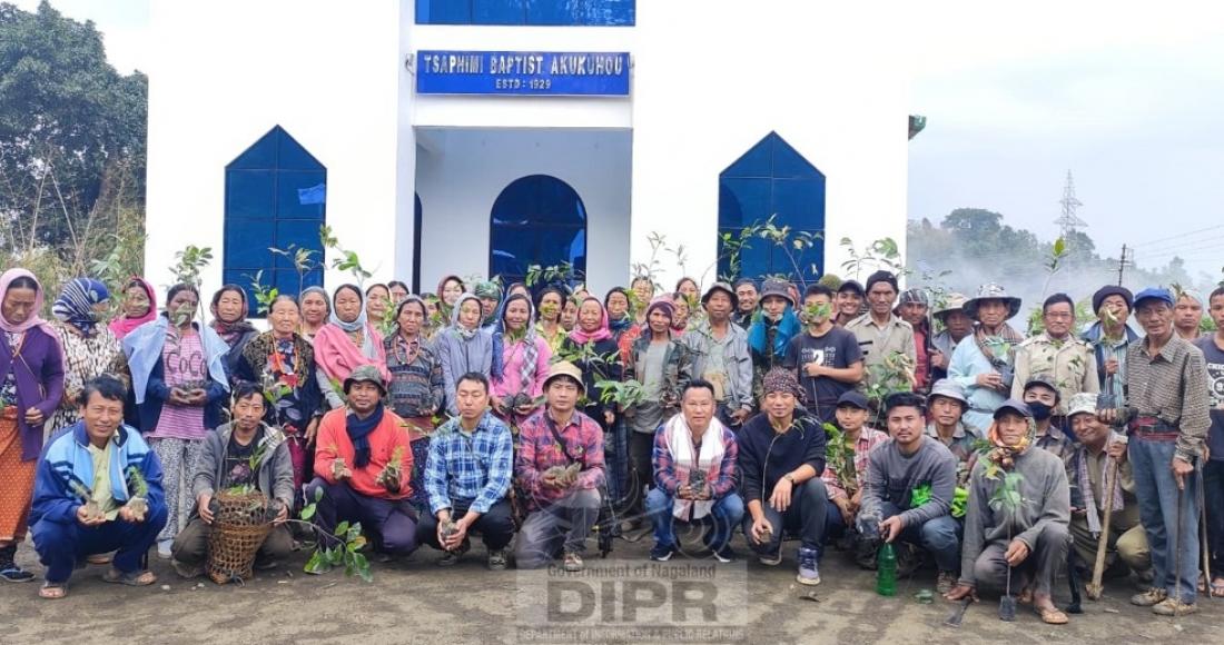 TREE PLANTATION HELD AT TSAPHIMI VILLAGE